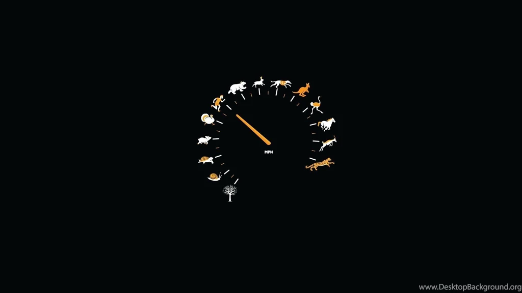 Animals Funny Gauge Speedometer Black Backgrounds Desktop 1532079