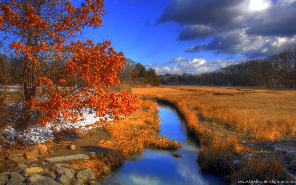 Complete And Realistic Natural Fall View In Your Desktop: Autumn ...