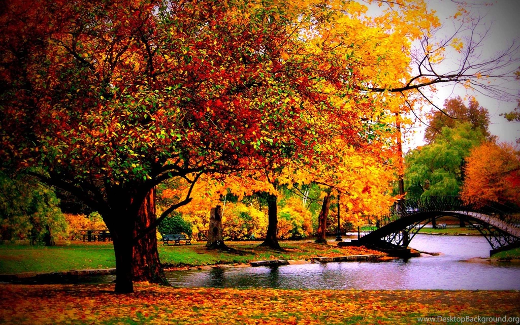 Fall Season (