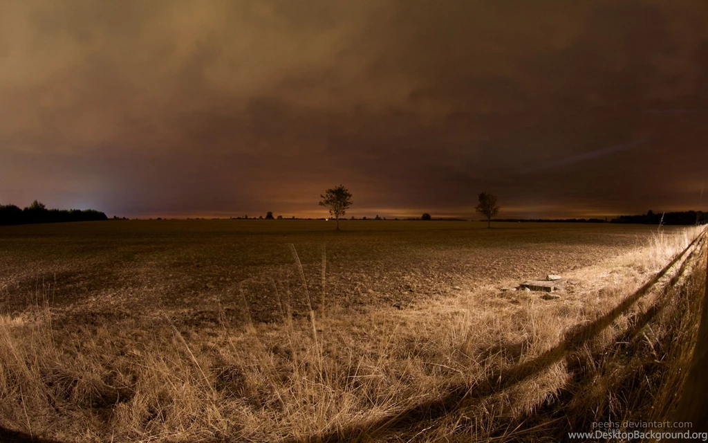 Autumn Backgrounds Wallpapers   9813