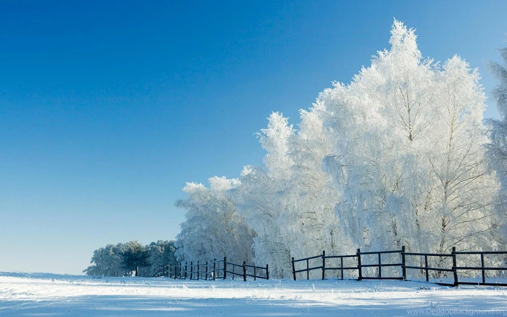 Snow Backgrounds Wallpapers 1920x1200 For 20/21 Inch LCD
