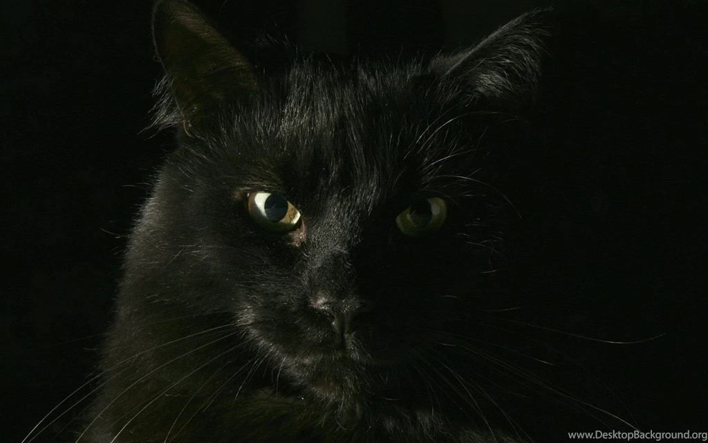 Backgrounds Wallpapers