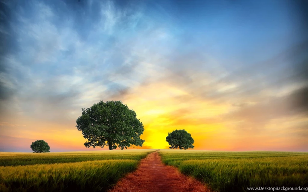 Path Backgrounds Wallpapers