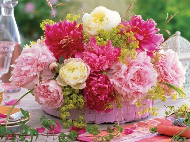 Flowers Animation Images