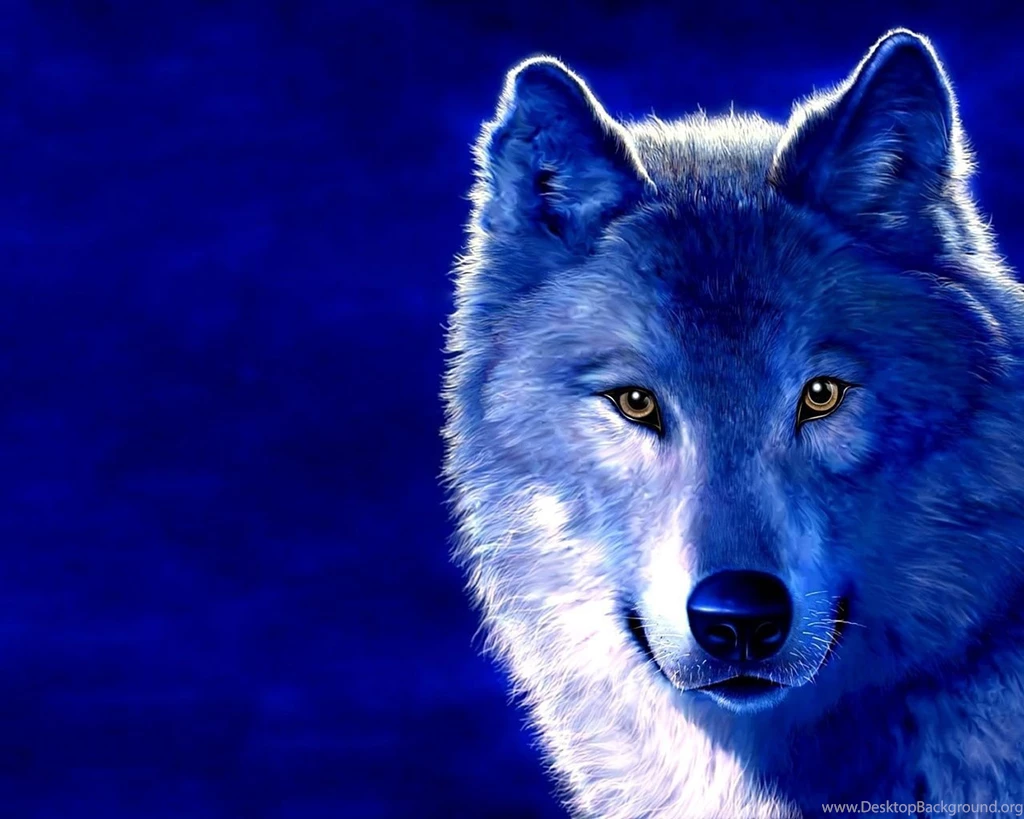 40 Cool Free Desktop Backgrounds