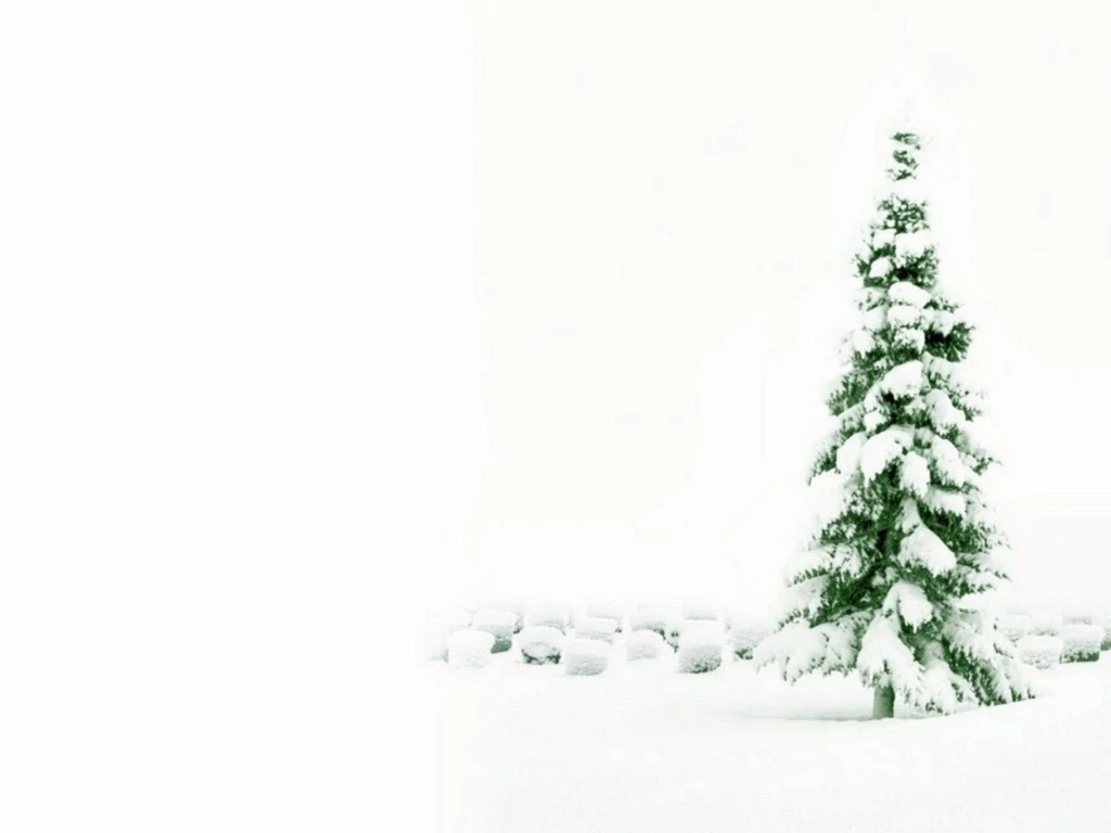 Snowy Christmas Tree Wallpapers 4712