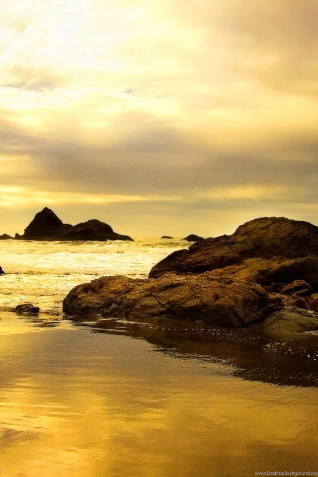 640x960 Beach In Sepia Iphone 4 Wallpapers