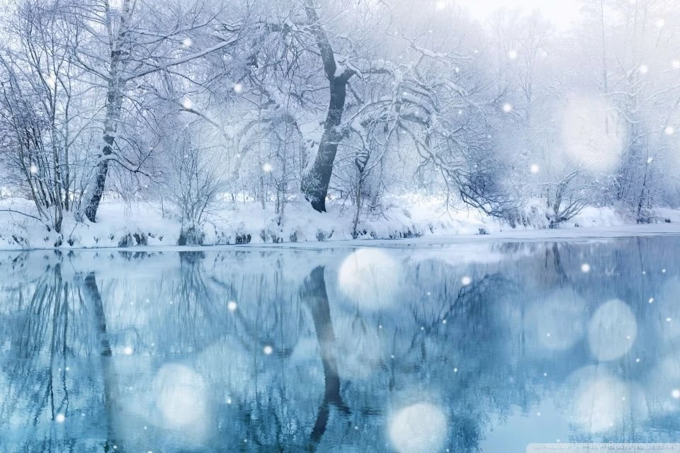 Winter Snowfall HD Desktop Wallpapers : High Definition : Mobile ...