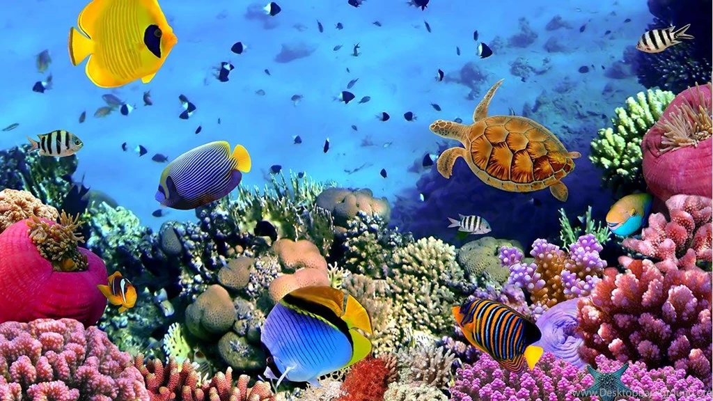 Ocean Fish Live Wallpapers Android Apps And Tests AndroidPIT
