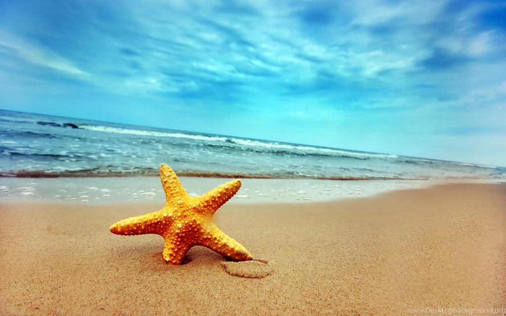 Best_beach _computer _wallpaper.jpg