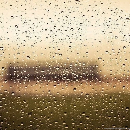 Water Droplets / Backgrounds / Texture