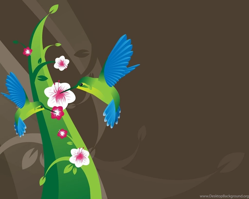 Hummingbird Wallpapers Pics