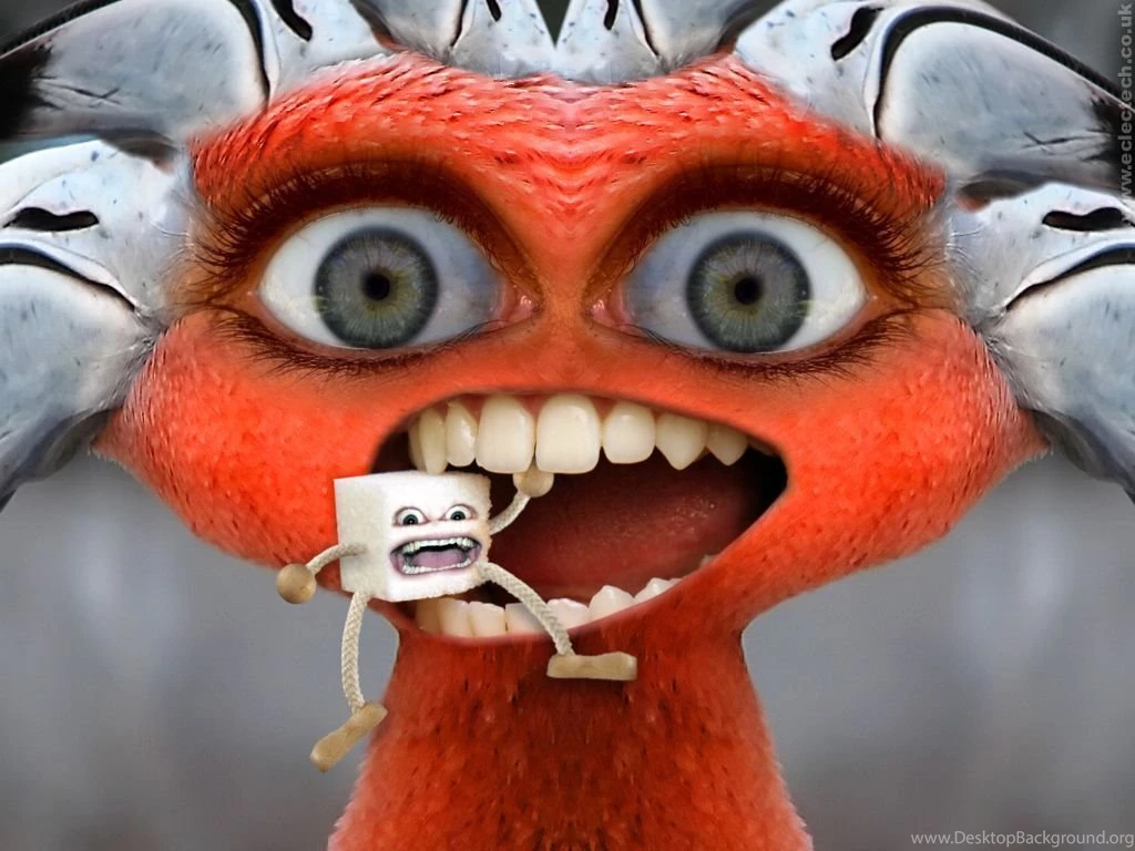 Redheadbird wallpaper.jpg