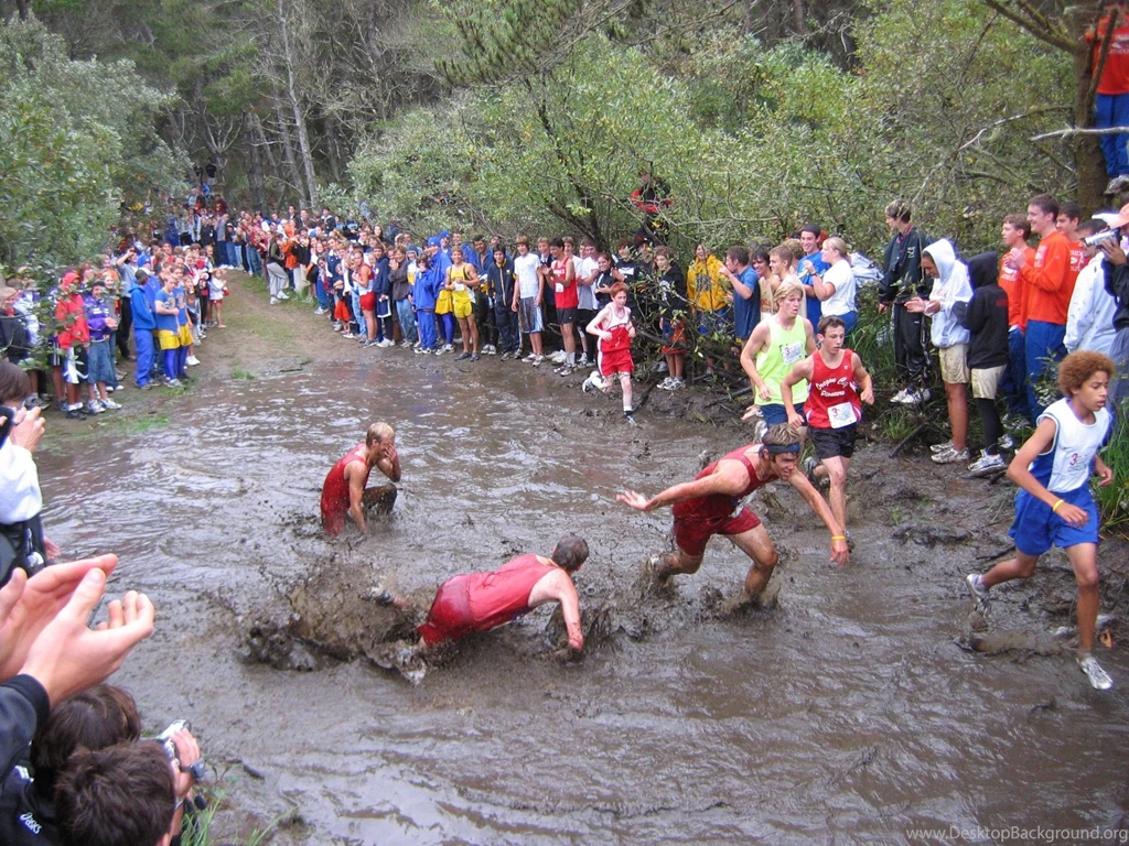 Wikipedia:Featured Picture Candidates/March 2006 Wikipedia, The ...