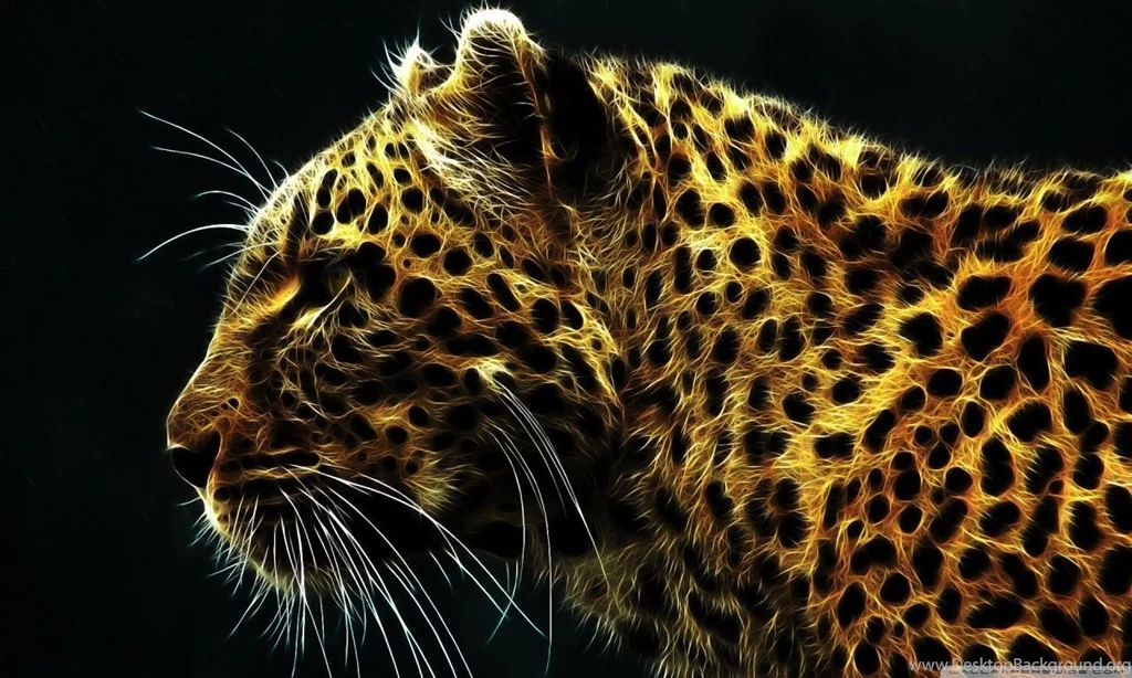 Cheetah In Fire HD Desktop Wallpapers : High Definition ...