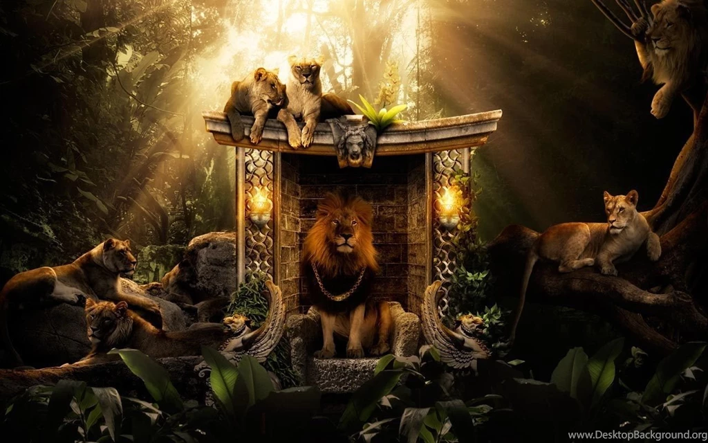 Lion Desktop Wallpapers
