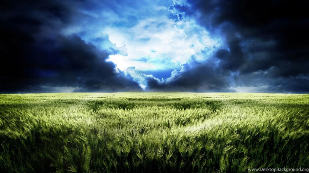 Wheat Fields, Clouds, Evening, Nature, Backgrounds