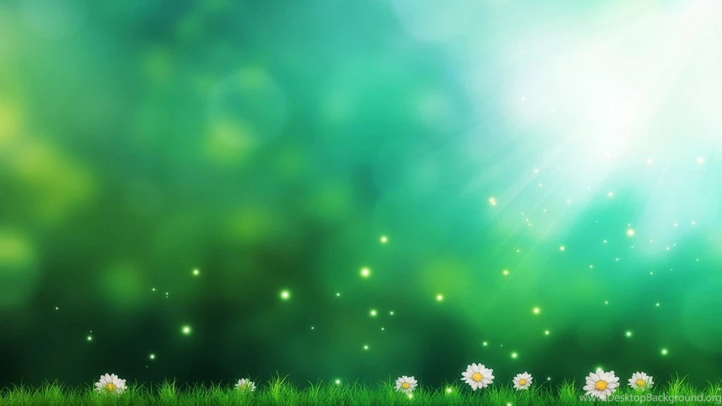 Daisies Green Backgrounds