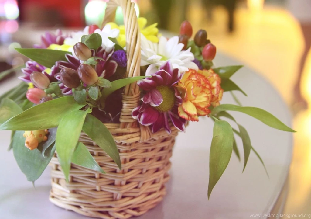 Download Wallpapers Carnation, Flower, Basket, Song, Beauty HD ...