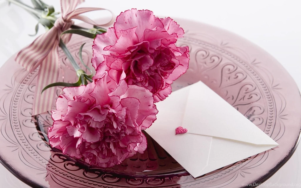 Carnation download wallpaper.jpg