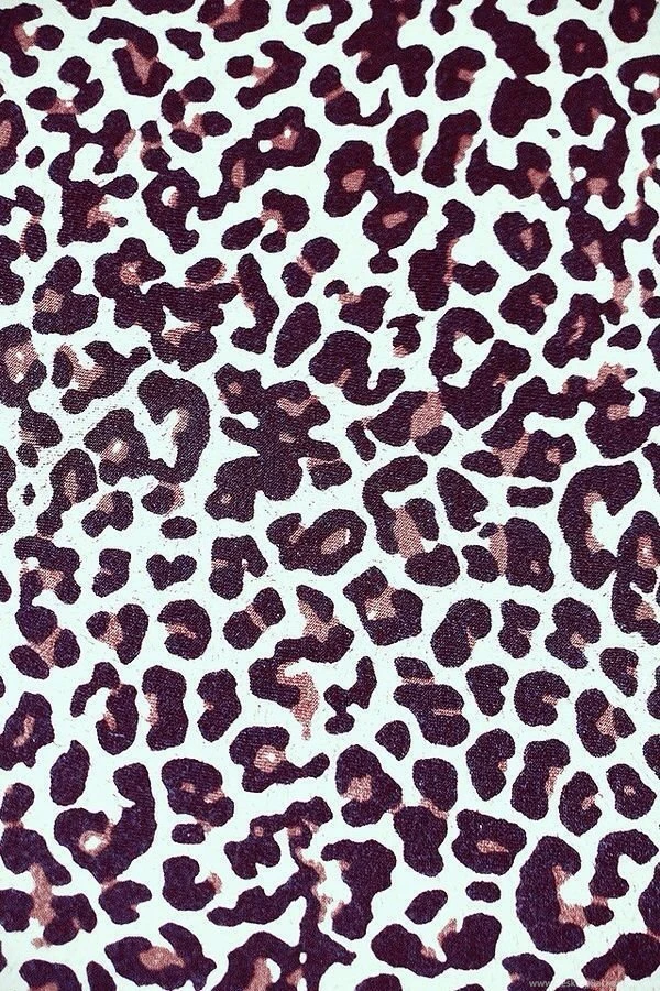 Gallery For   Iphone Wallpapers Cheetah