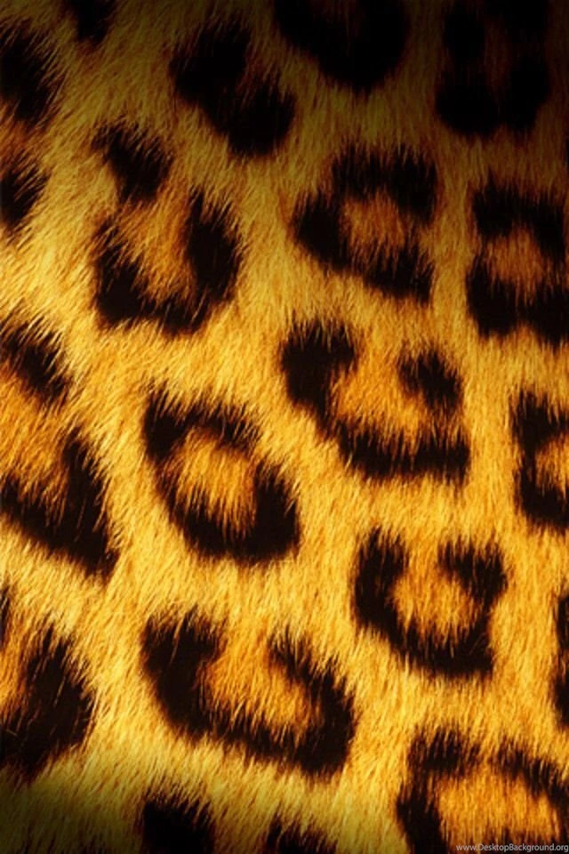 Gallery For   Cheetah Iphone 6 Wallpapers