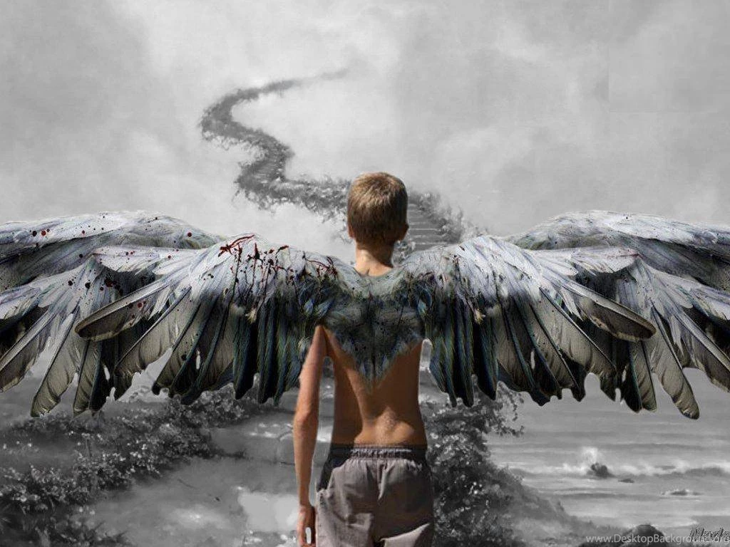 Download Angel Boy Wallpapers