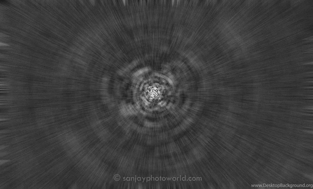 Sanjay Photo World: Pattern Backgrounds Vol. 03