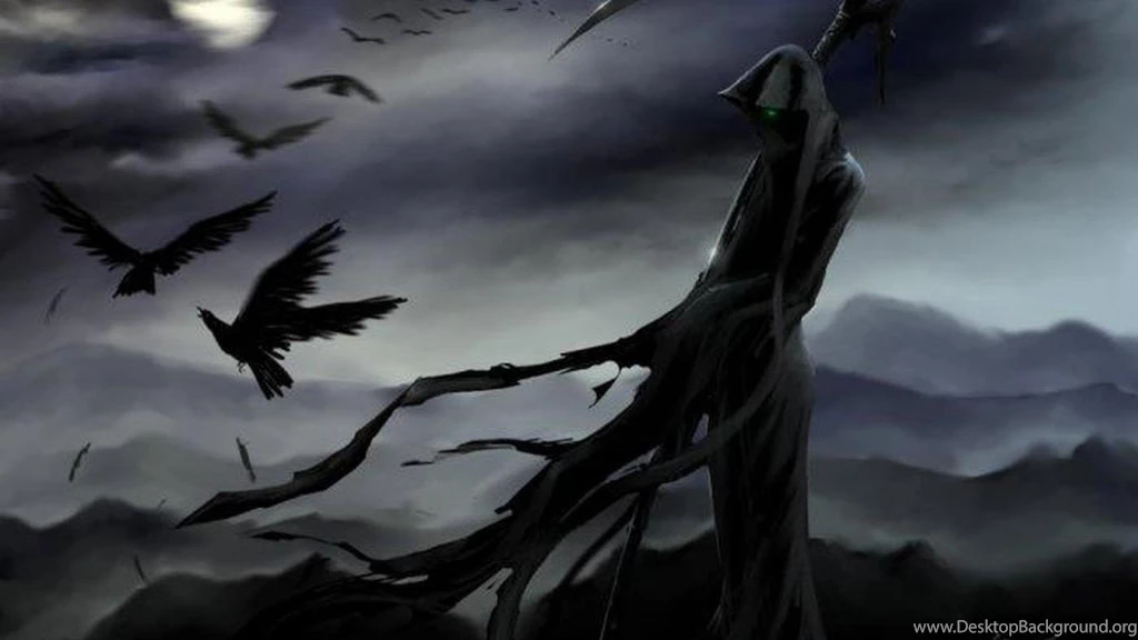 Raven HD Wallpaper, Raven Bird Images