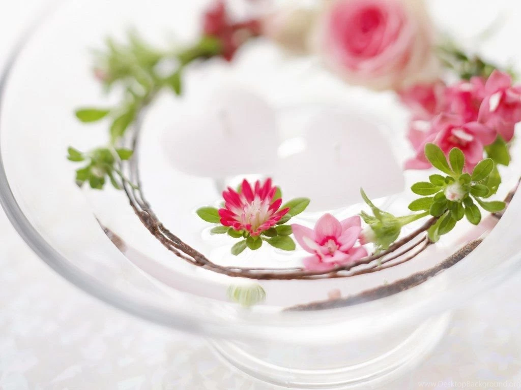 Beautiful Flower Backgrounds