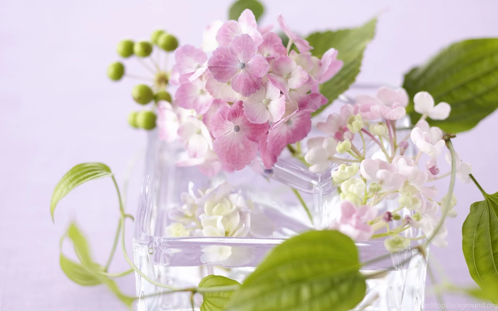 Beautiful_flowers_wallpapers .jpg