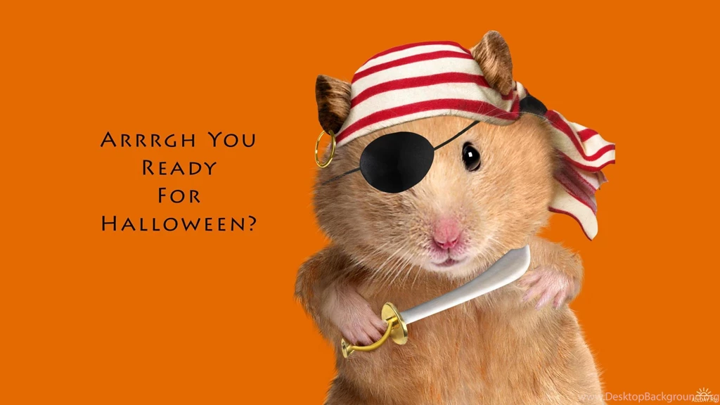 Pirate, Wallpaper, Halloween (