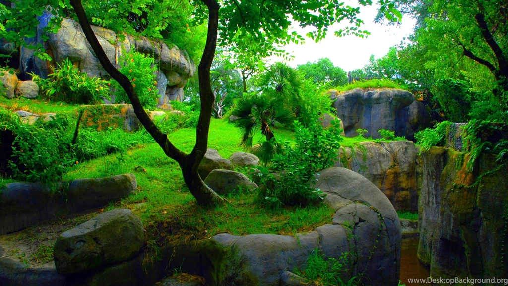 Best hd wallpapers free 3D.jpg