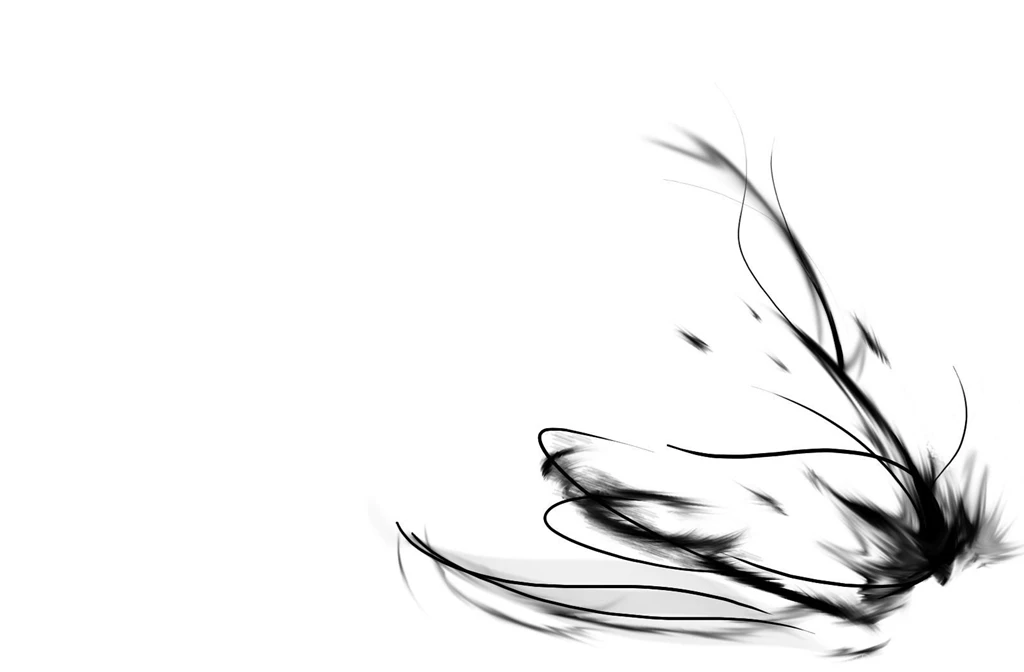 Black White Abstract Wallpapers Wallpapers High Definition