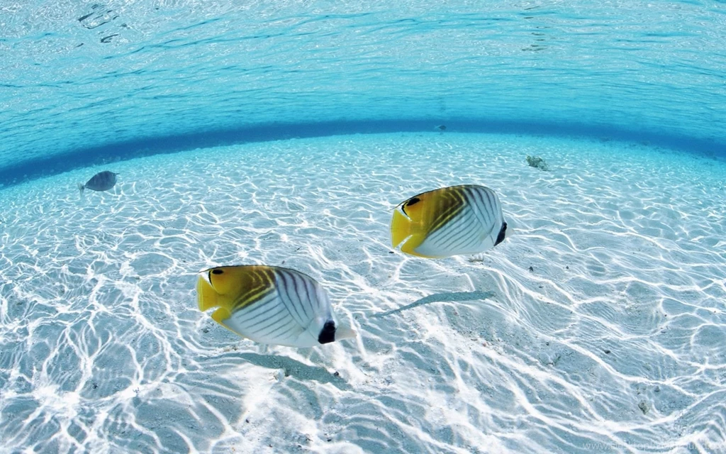 Ocean Backgrounds Pictures