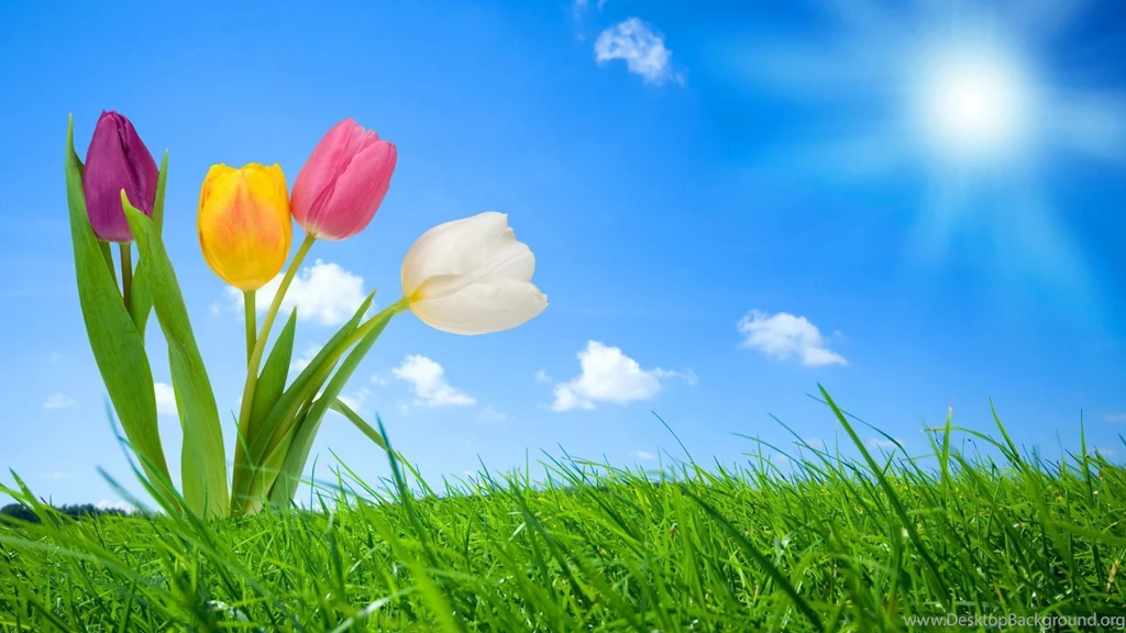 Free Spring Wallpapers For Computer