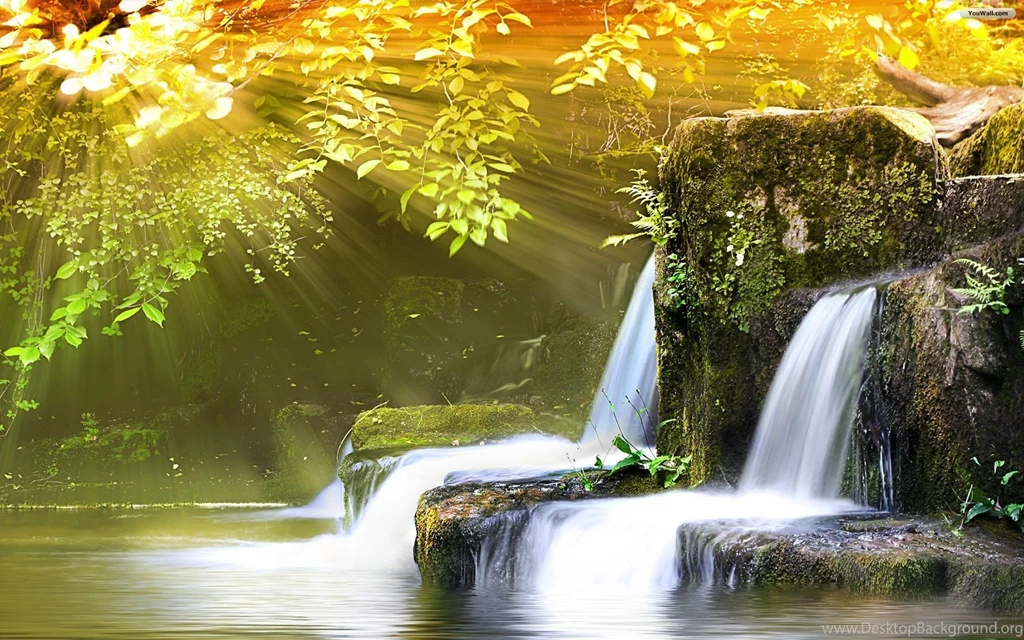 Spring Desktop Backgrounds Free Wallpapers HD Wide
