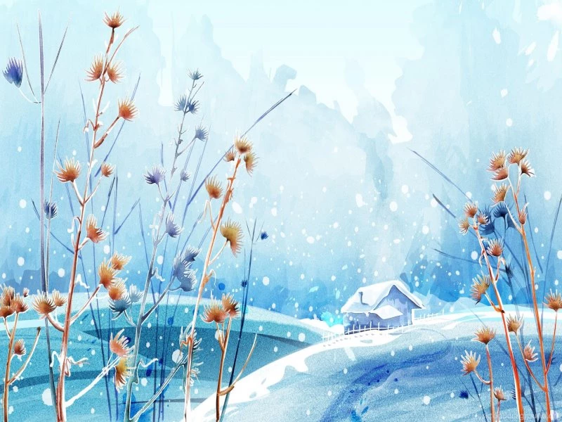 FreePhotoz Daily Wallpapers & Backgrounds Beautiful Winter Day ...