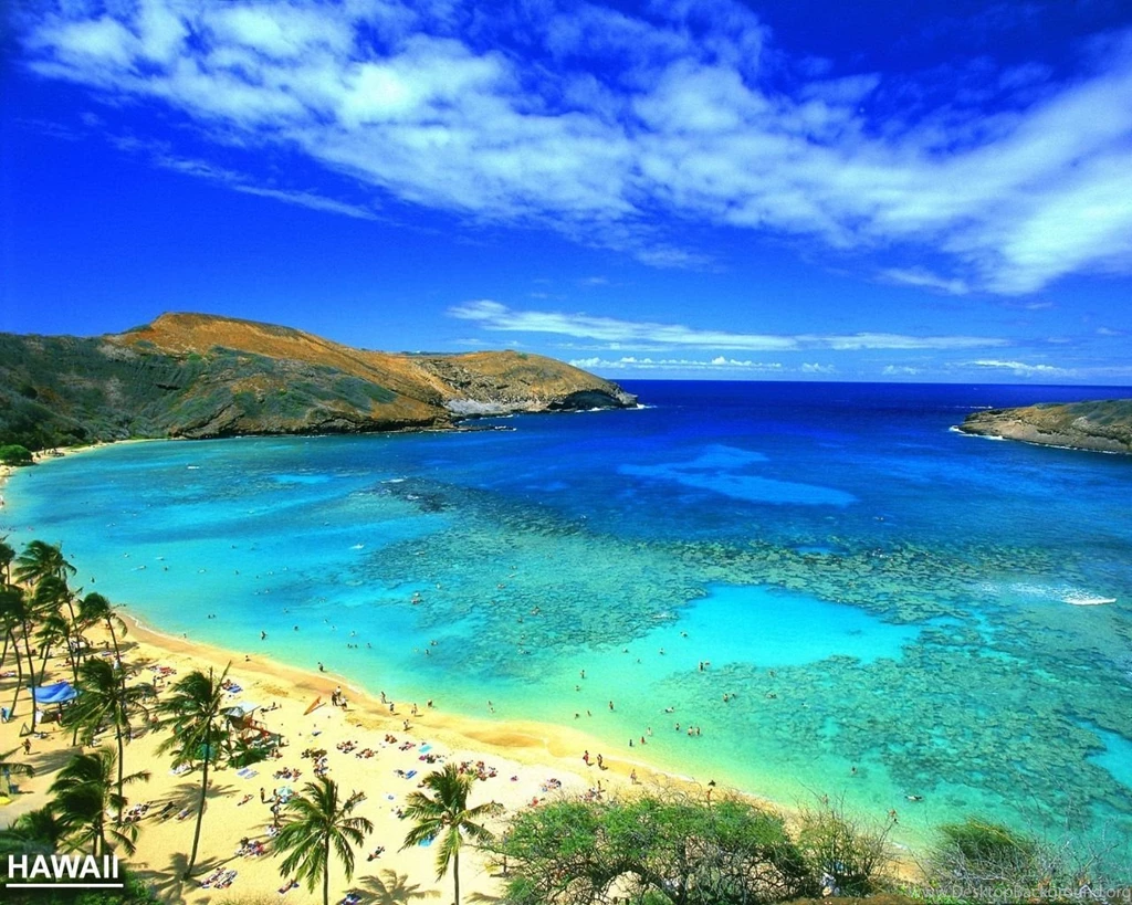 Gallery For   Hawaiian Wallpaper Backgrounds