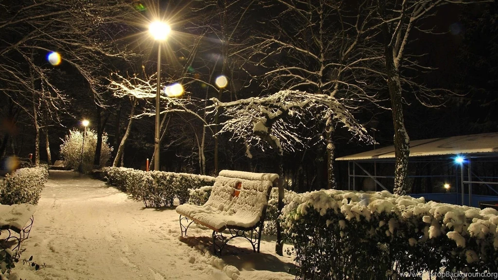 Winter Night Snowy HD Images Wallpapers 3992 HD Wallpapers Site