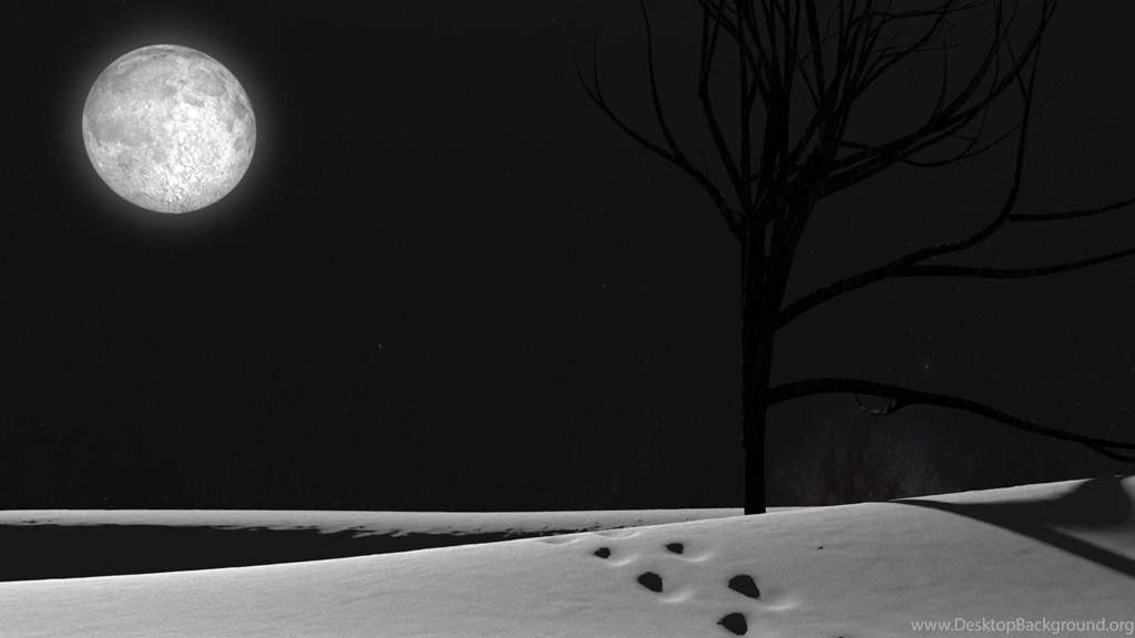 Snowy Night Wallpapers » WallDevil   Best Free HD Desktop And ...