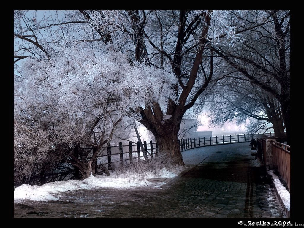 Snowy Night I By Serika On DeviantArt
