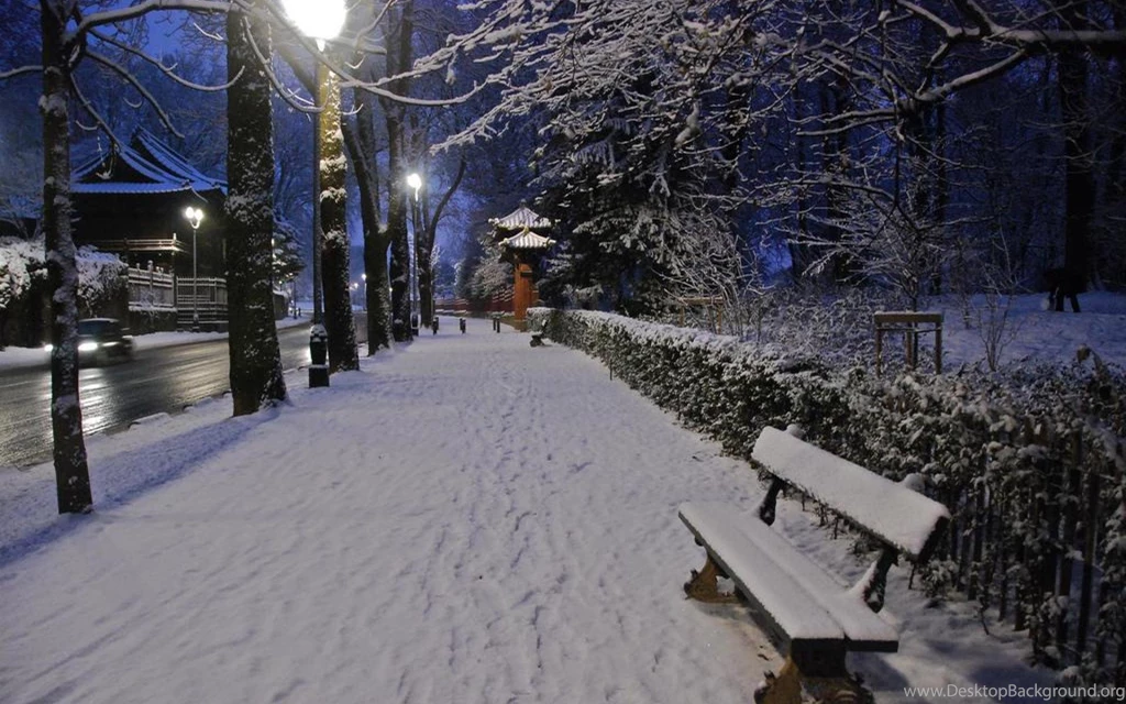 Snowy Night