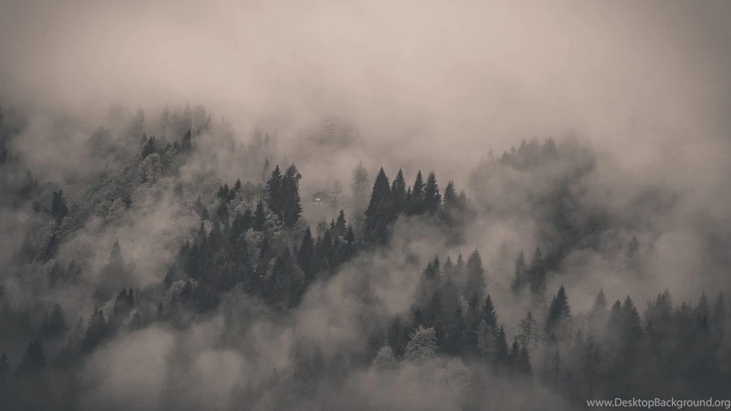 25 Excellent HD Fog Wallpapers   HDWallSource.com