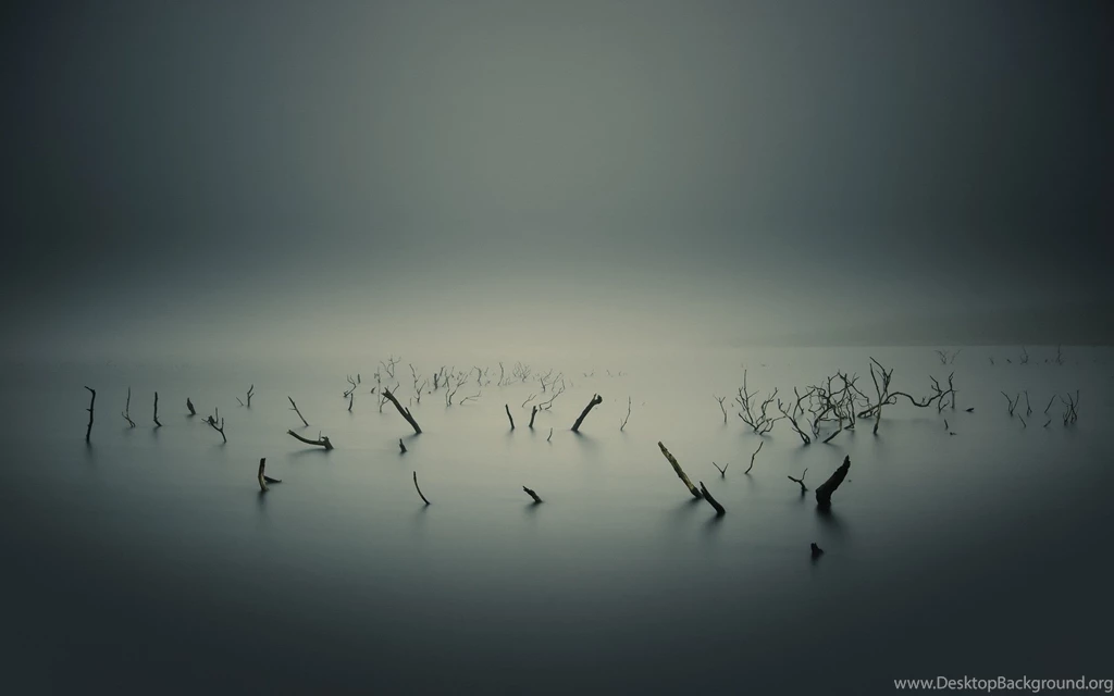 Foggy Lake Wallpapers