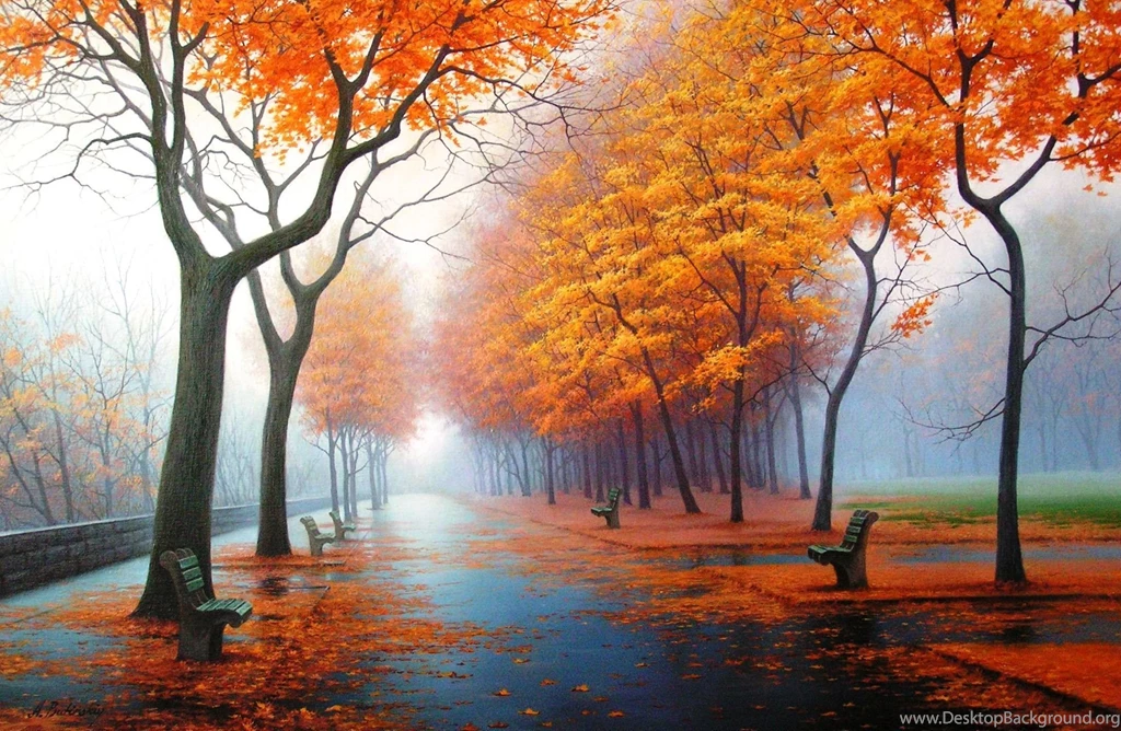 First Day Of Autumn Foggy Wallpapers   Free Wallpapers Page