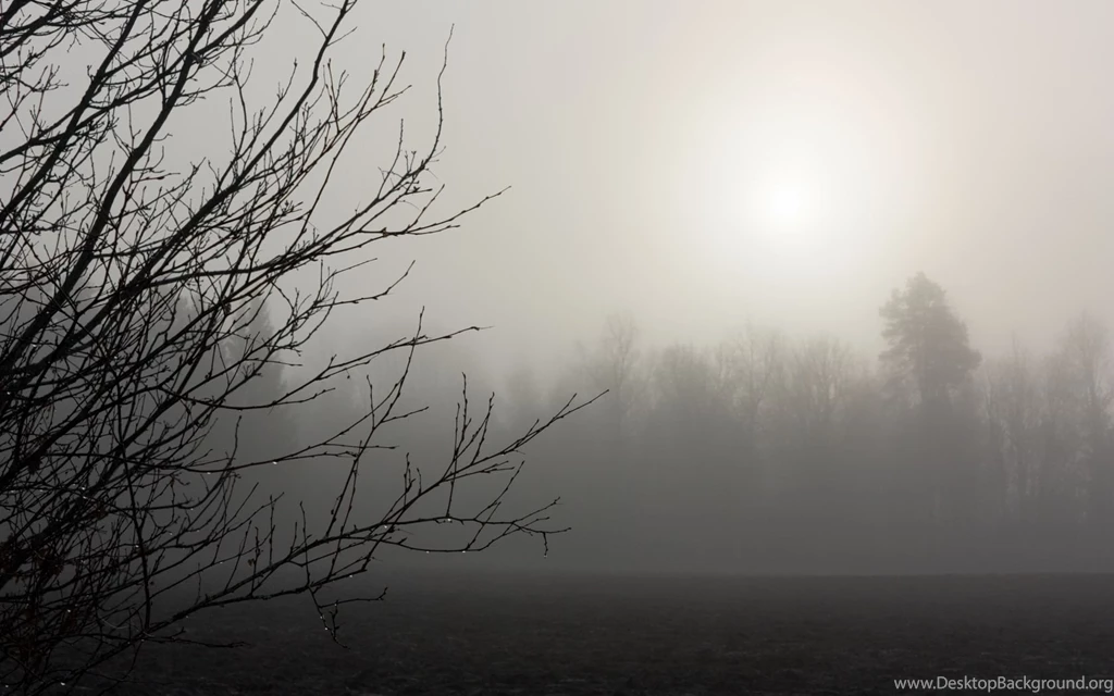 Spring Garden Bench Wallpapers