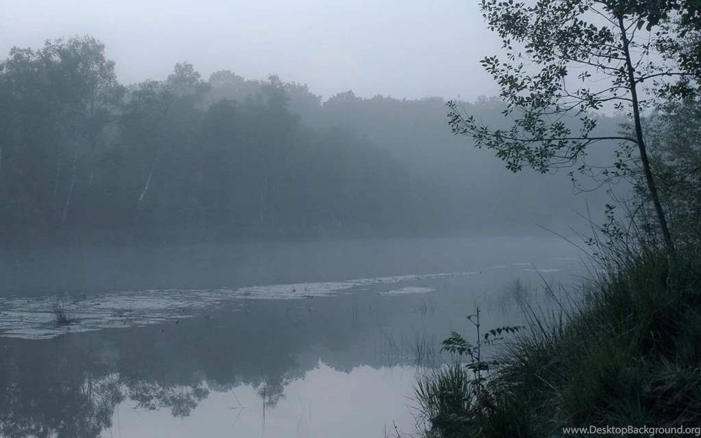 Foggy Wallpapers By Janfoto On DeviantArt