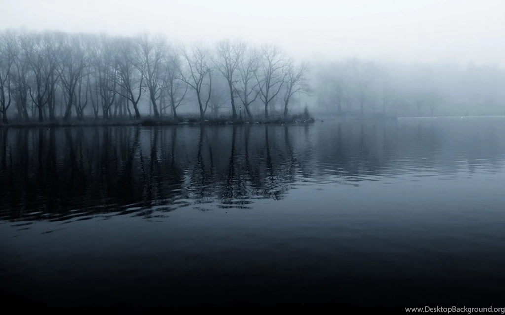 Foggy Lake And Forest Wallpapers