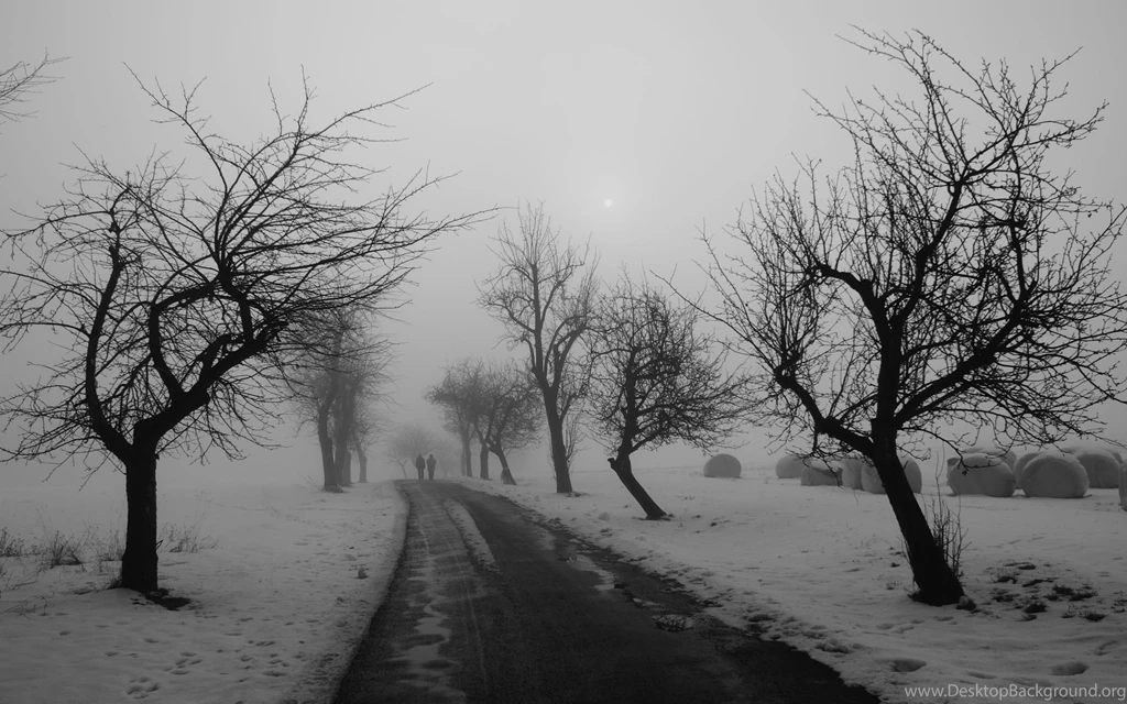 Winter Solstice Desktop Wallpapers